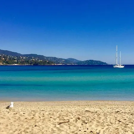 Le St Apartment Le Lavandou