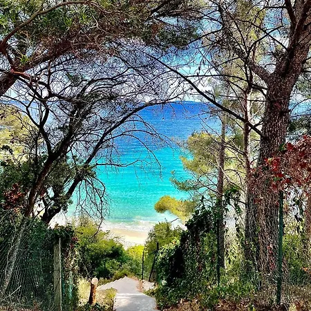 Apartment Le St Le Lavandou